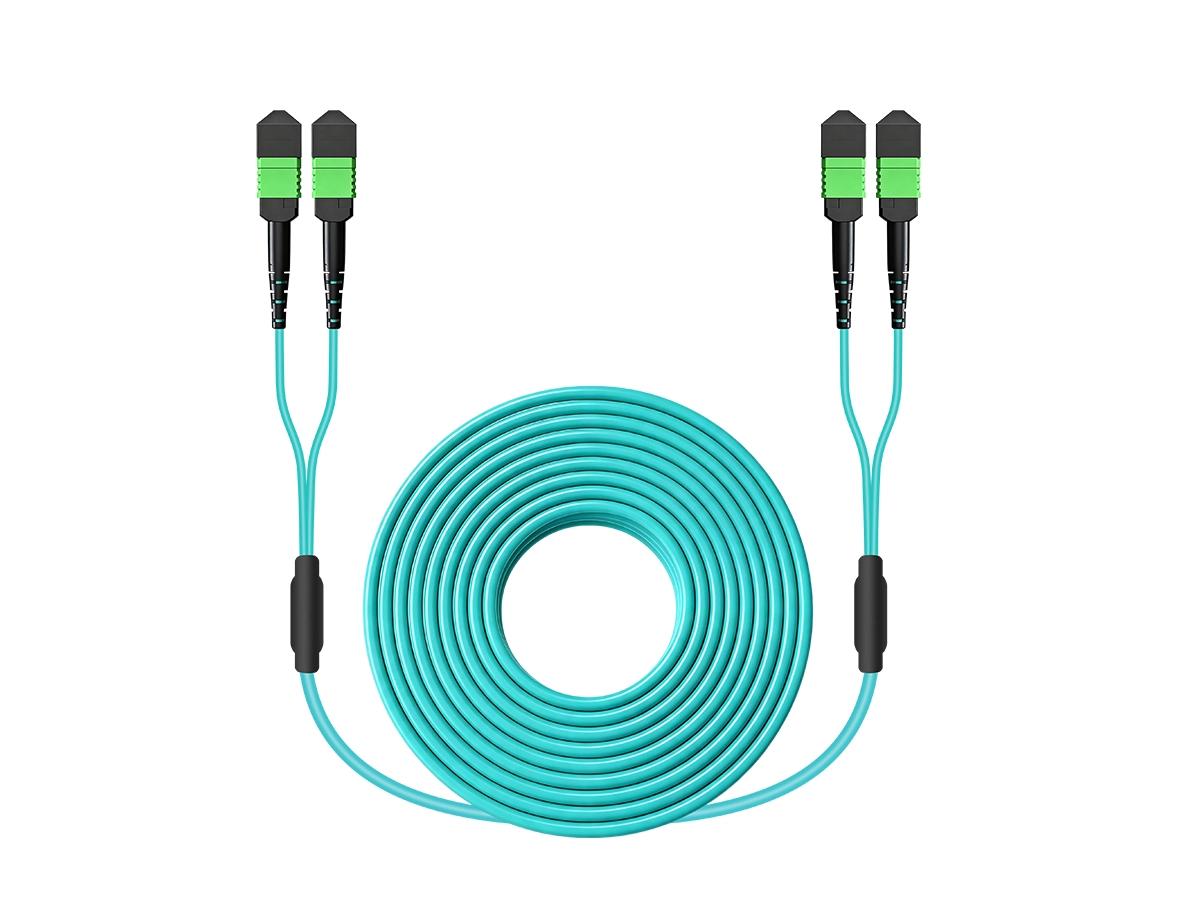 DYS Shuffle Patch Cords MPOMTP 16F